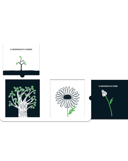 النمو (كتب بالأبيض والأسود: التحفيز البصري للأطفال)