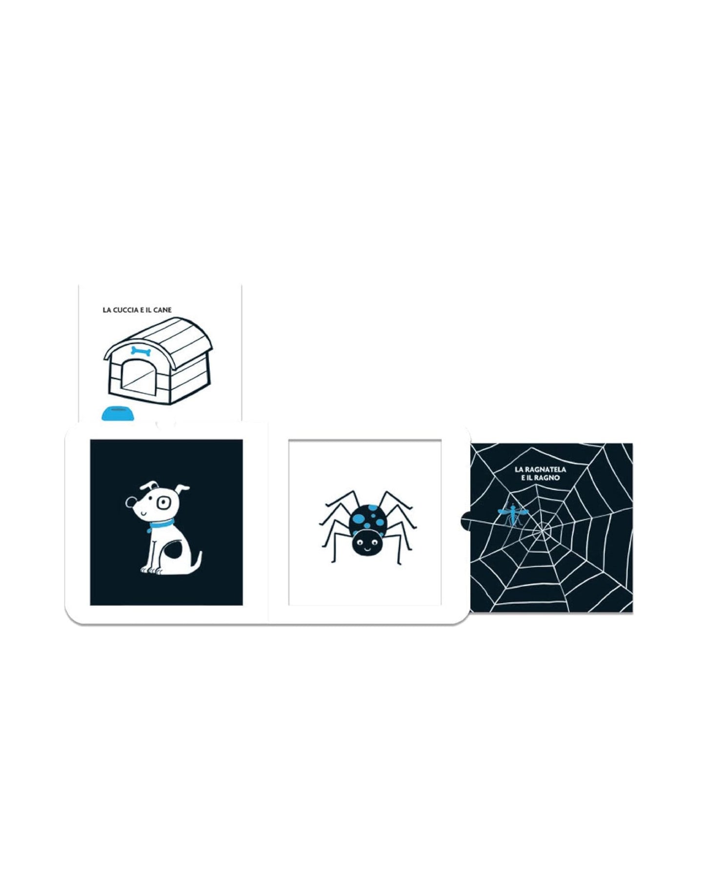 من يسكن هنا؟ (كتب بالأبيض والأسود: تحفيز بصري للأطفال)