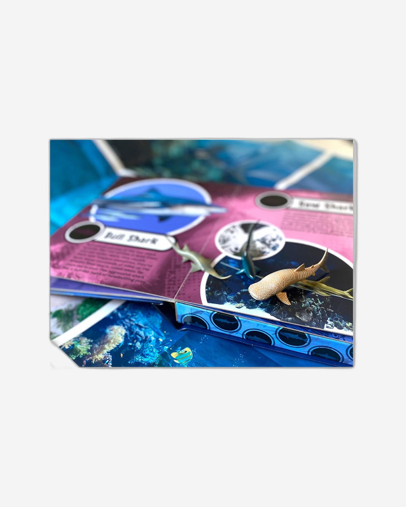 عالم أسماك القرش - كتابي التفاعلي