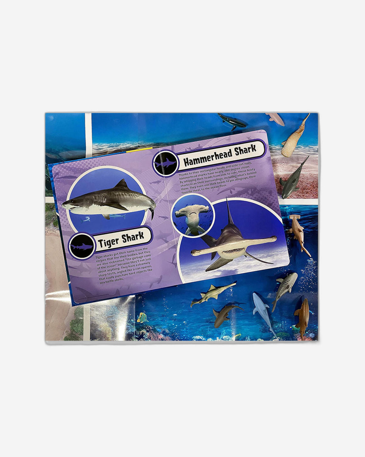 عالم أسماك القرش - كتابي التفاعلي