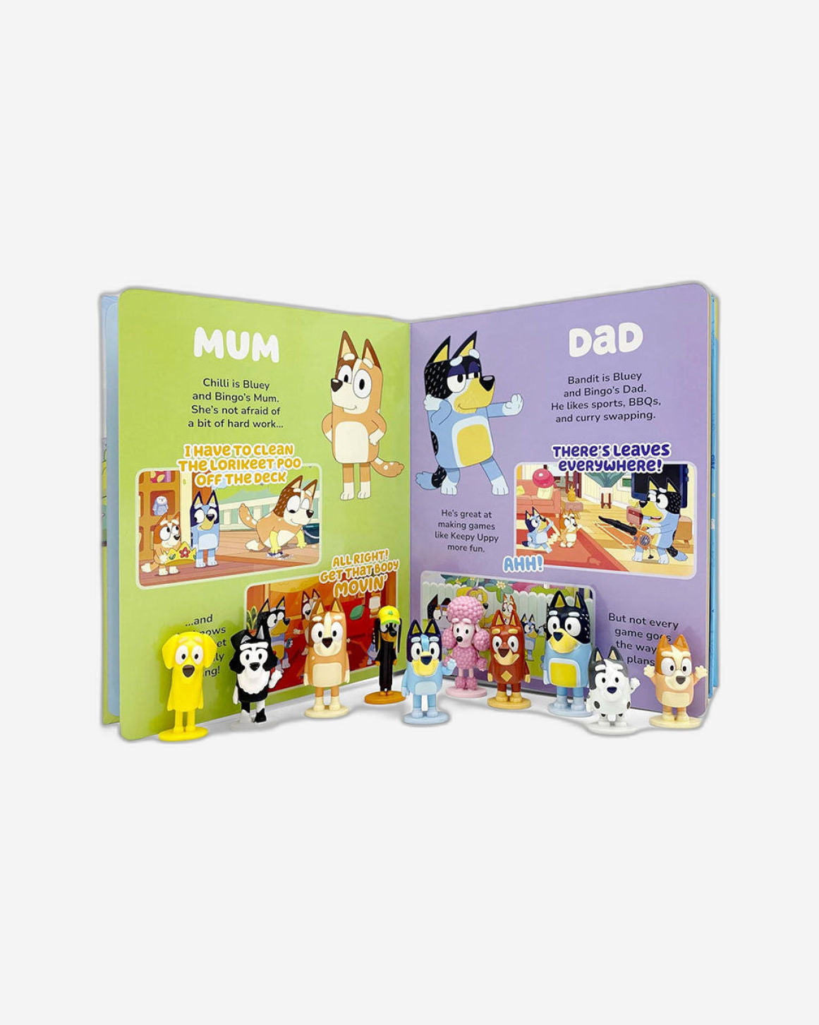 كتبي المشغولة من بي بي سي بلووي