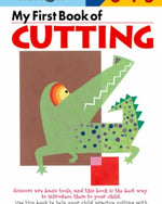 كتابي الأول عن القطع