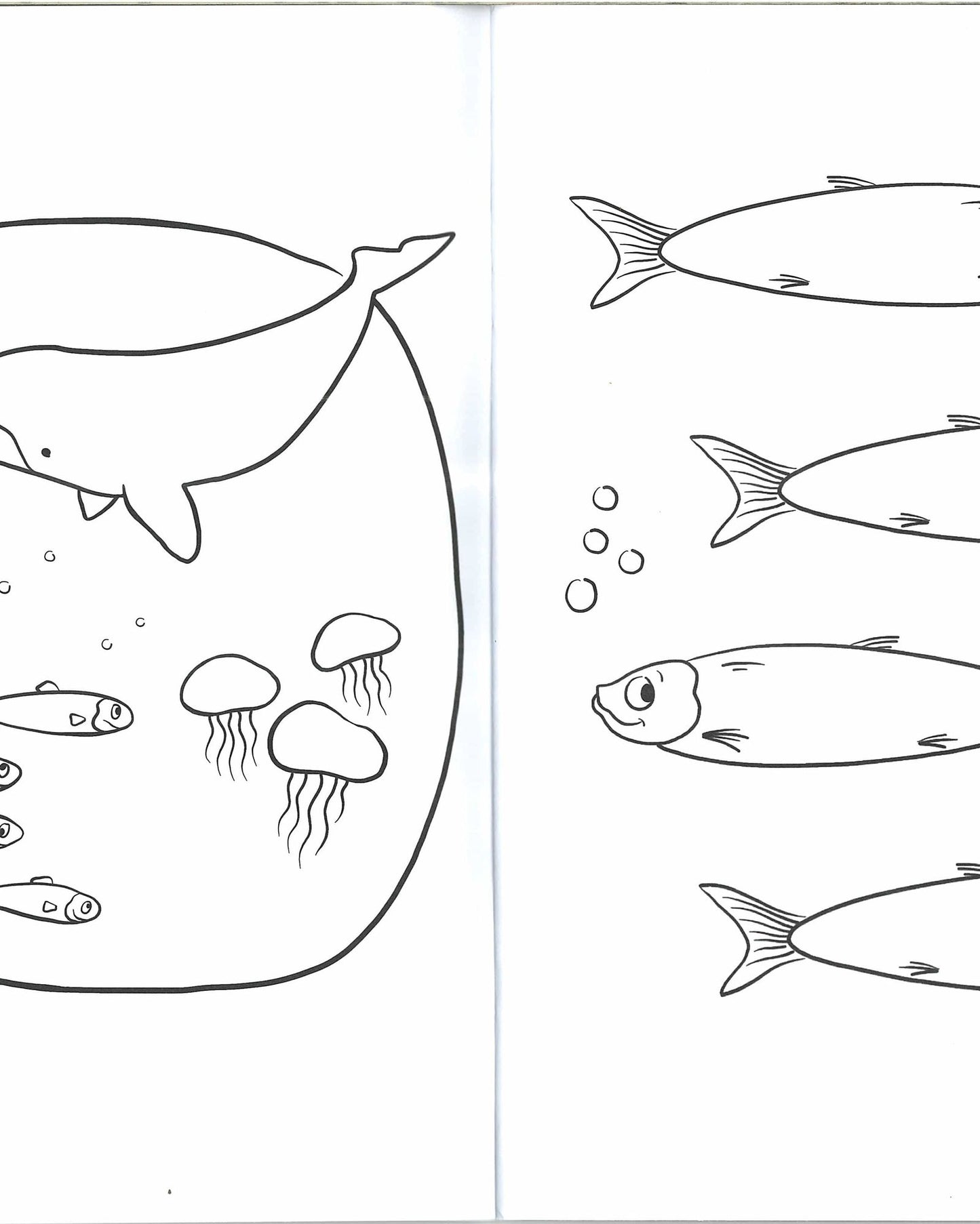 كتاب تلوين البطريق كراش (سلسلة كراش)