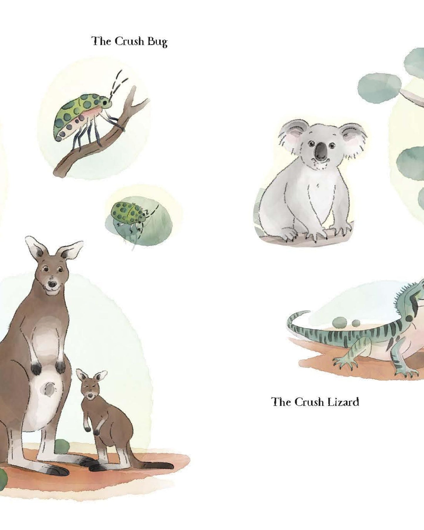 كتاب تلوين كانجارو كراش (سلسلة كراش)