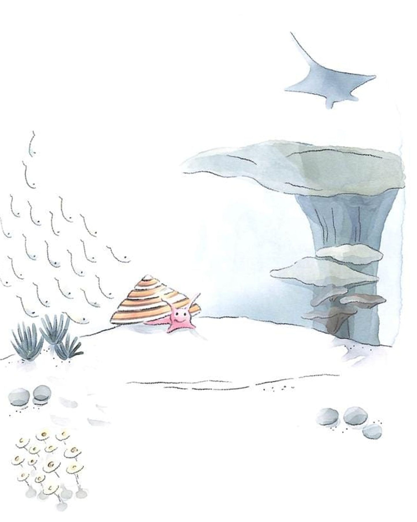 سحق السلطعون (سلسلة سحق)