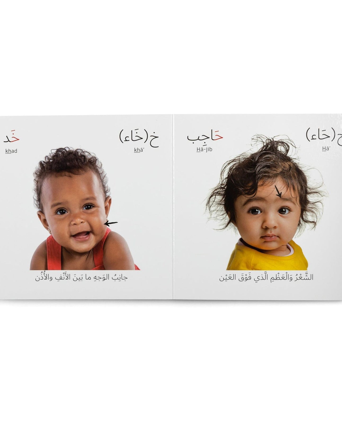 جسم الإنسان