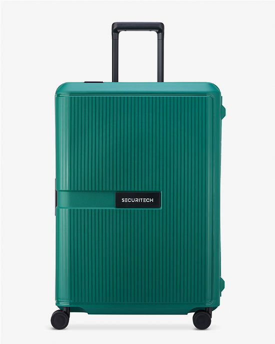 حقيبة ديلسي باريس ستون الصلبة ذات العجلات الأربع