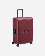 حقيبة ديلسي باريس ستون الصلبة ذات العجلات الأربع