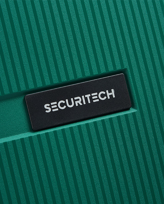 حقيبة ديلسي باريس ستون الصلبة ذات العجلات الأربع