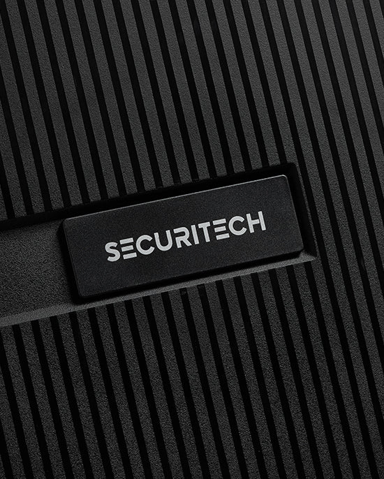 حقيبة ديلسي باريس ستون الصلبة ذات العجلات الأربع