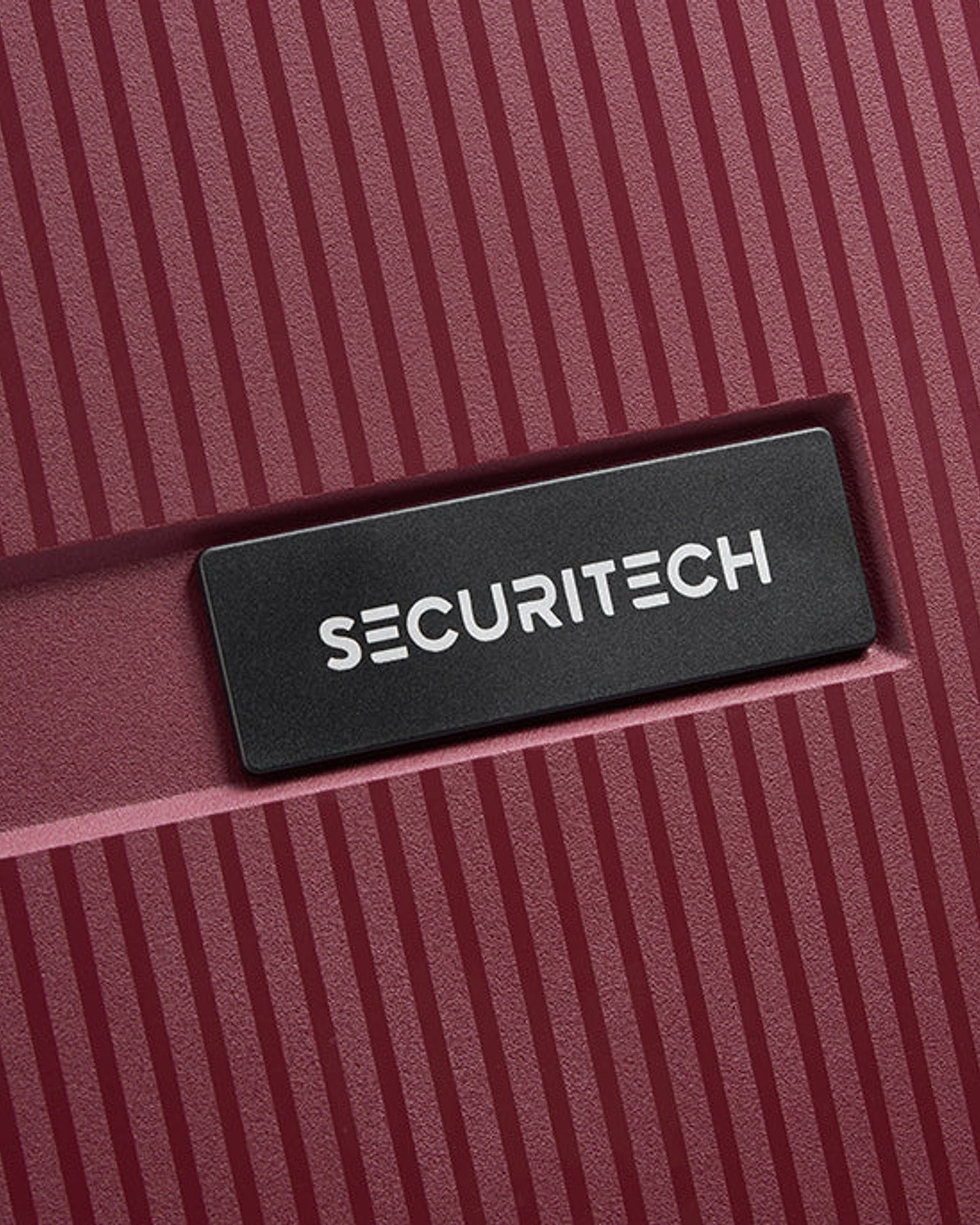 حقائب ديلسي باريس سيكيوريتك ستون