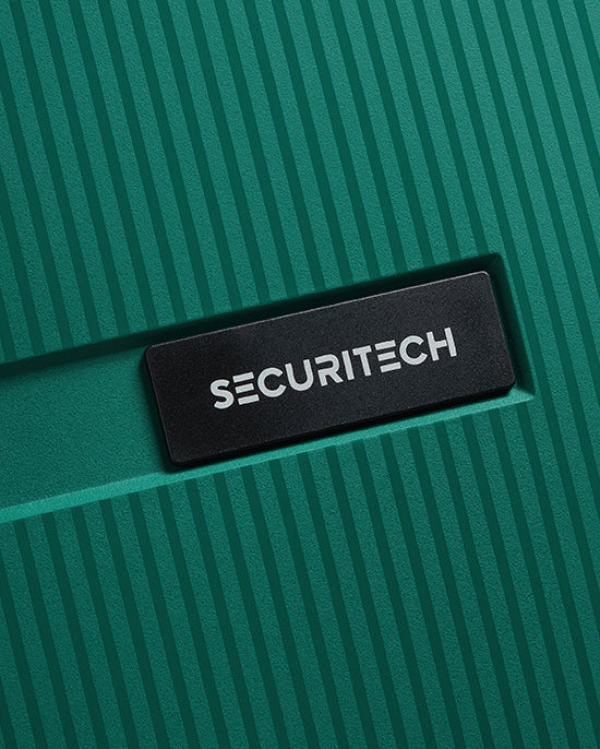 حقيبة ديلسي باريس ستون الصلبة ذات العجلات الأربع