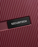 حقيبة ديلسي باريس ستون الصلبة ذات العجلات الأربع