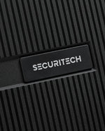 حقيبة ديلسي باريس ستون الصلبة ذات العجلات الأربع