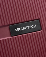 حقيبة ديلسي باريس ستون الصلبة ذات العجلات الأربع