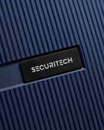 حقيبة ديلسي باريس ستون الصلبة ذات العجلات الأربع