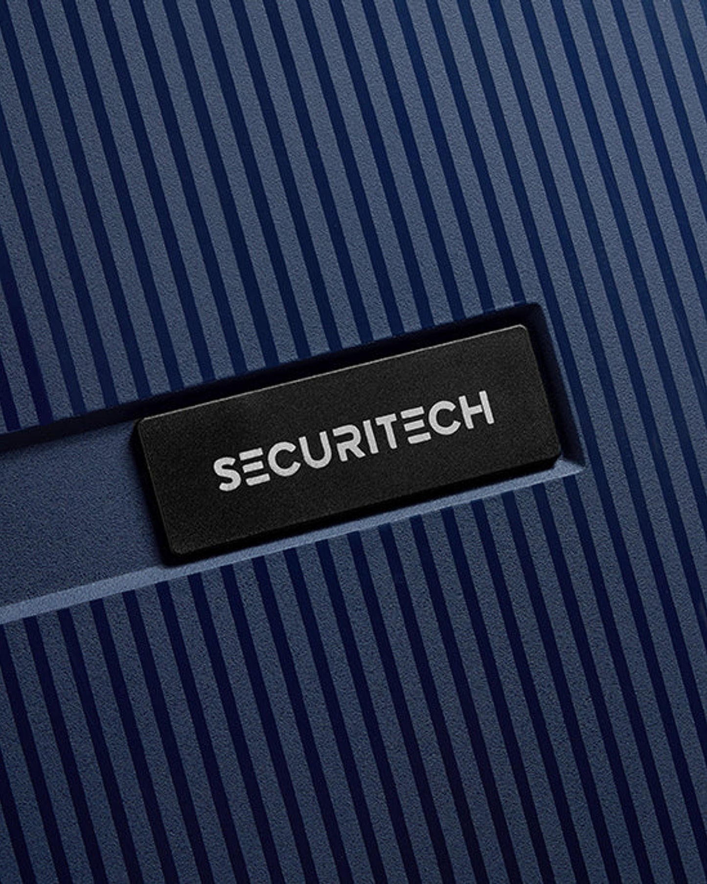 حقائب ديلسي باريس سيكيوريتك ستون