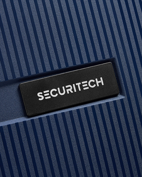 حقيبة ديلسي باريس ستون الصلبة ذات العجلات الأربع