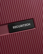 حقيبة ديلسي باريس ستون الصلبة ذات العجلات الأربع