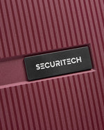 حقيبة ديلسي باريس ستون الصلبة ذات العجلات الأربع