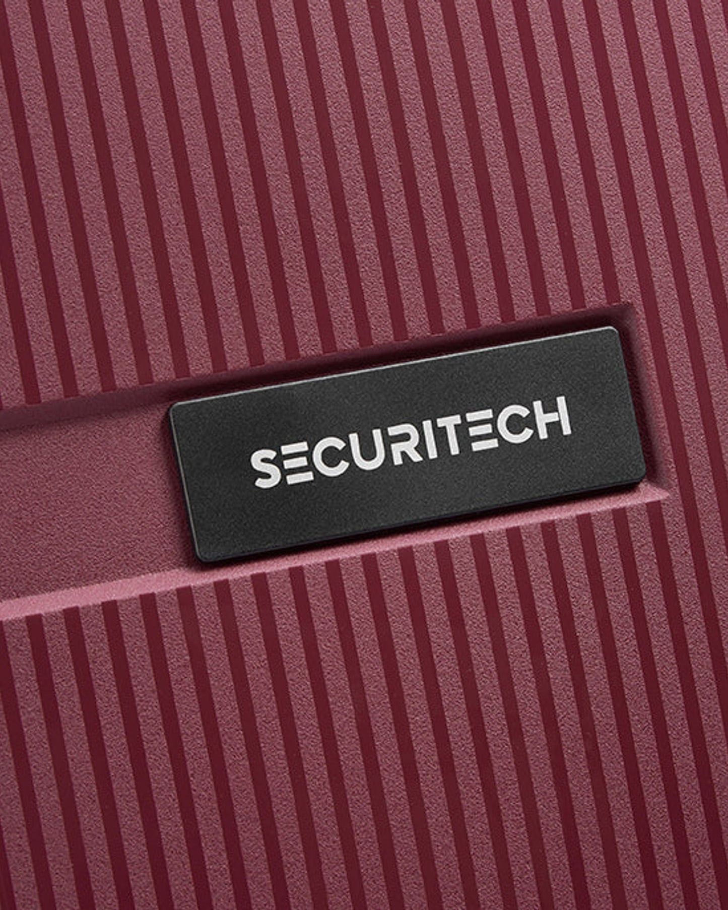 حقائب ديلسي باريس سيكيوريتك ستون