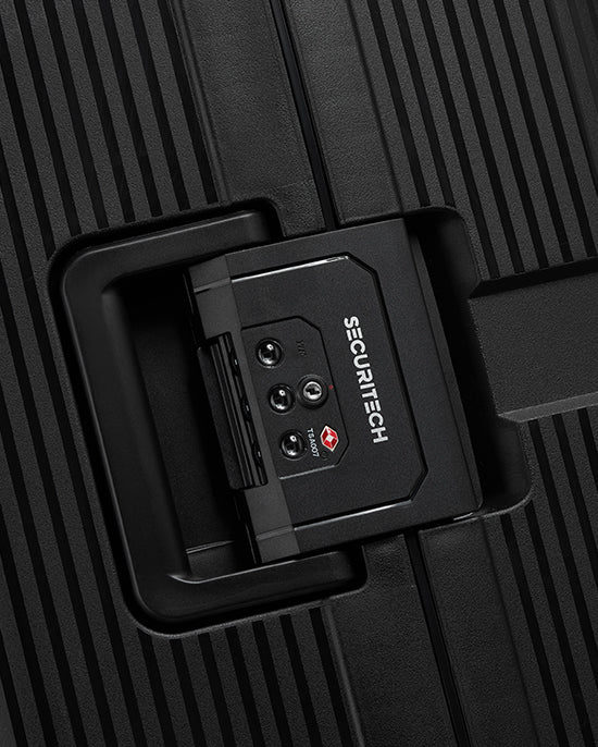 حقيبة ديلسي باريس ستون الصلبة ذات العجلات الأربع