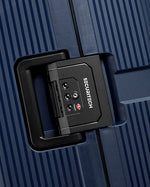 حقيبة ديلسي باريس ستون الصلبة ذات العجلات الأربع