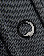 رحلة ديلسي باريس كروز 2.0