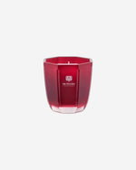 الدكتور فرانجيس كانديلا روسو نوبيل، 200 جرام تورمالينا