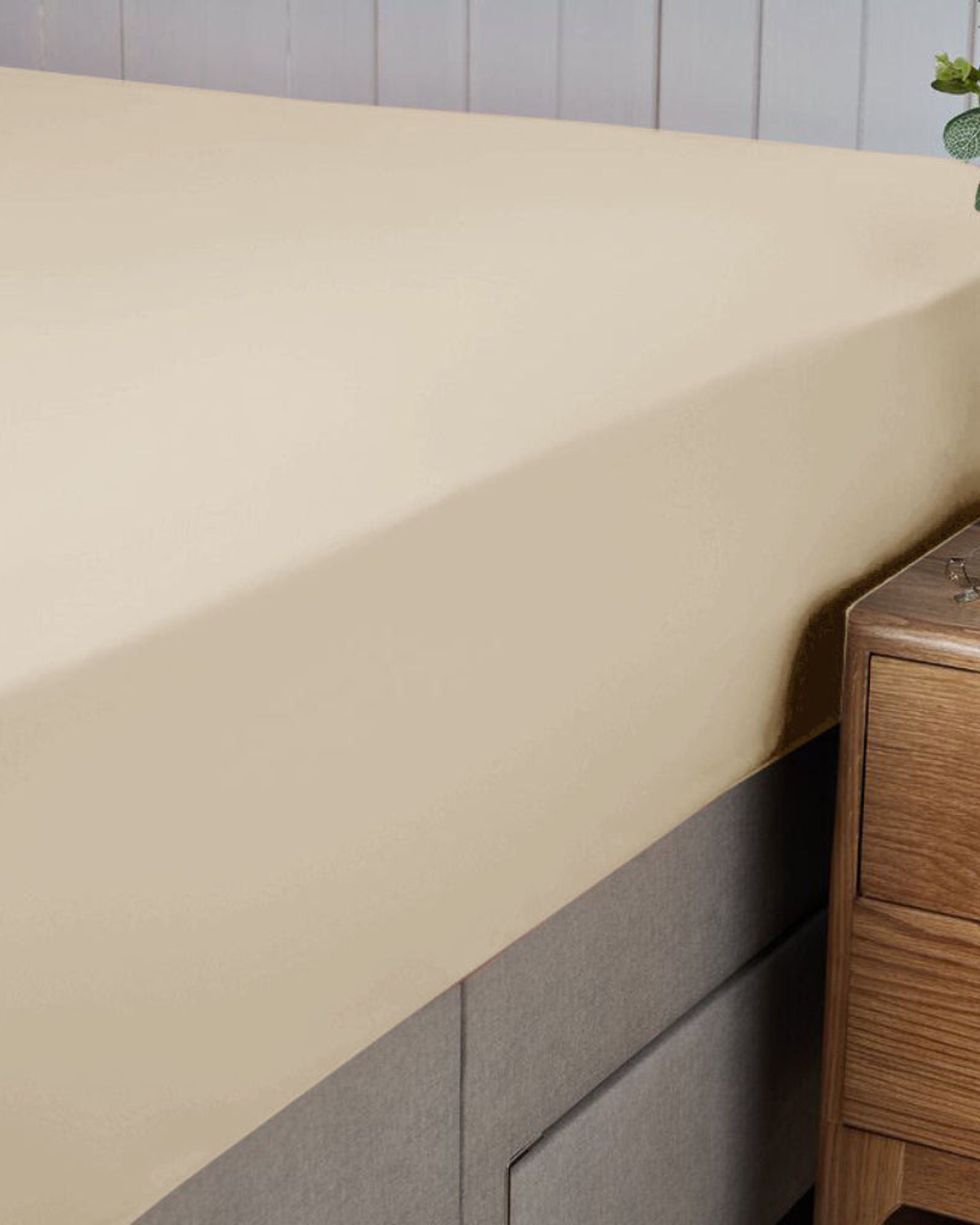 طقم ملاءات سرير قطنية فاخرة باللون البيج من كوتون هوم - ملاءة سرير واحدة مع غطاء وسادة واحد