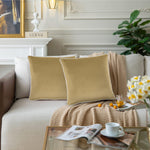 وسادة مخملية من القطن المنزلي مقاس 45 × 45 سم، عبوة من قطعتين