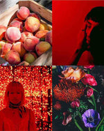 كولور مي بيرفيومرز تشويس فينيكس رقم 4 أو دو بارفان 83 مل