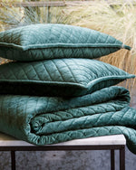 وسادة كريستي إدمونتون المحشوة بالطحلب