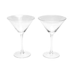 طقم هدايا كوكتيل أورورا سيلفر من لاديل، مكون من 4 قطع