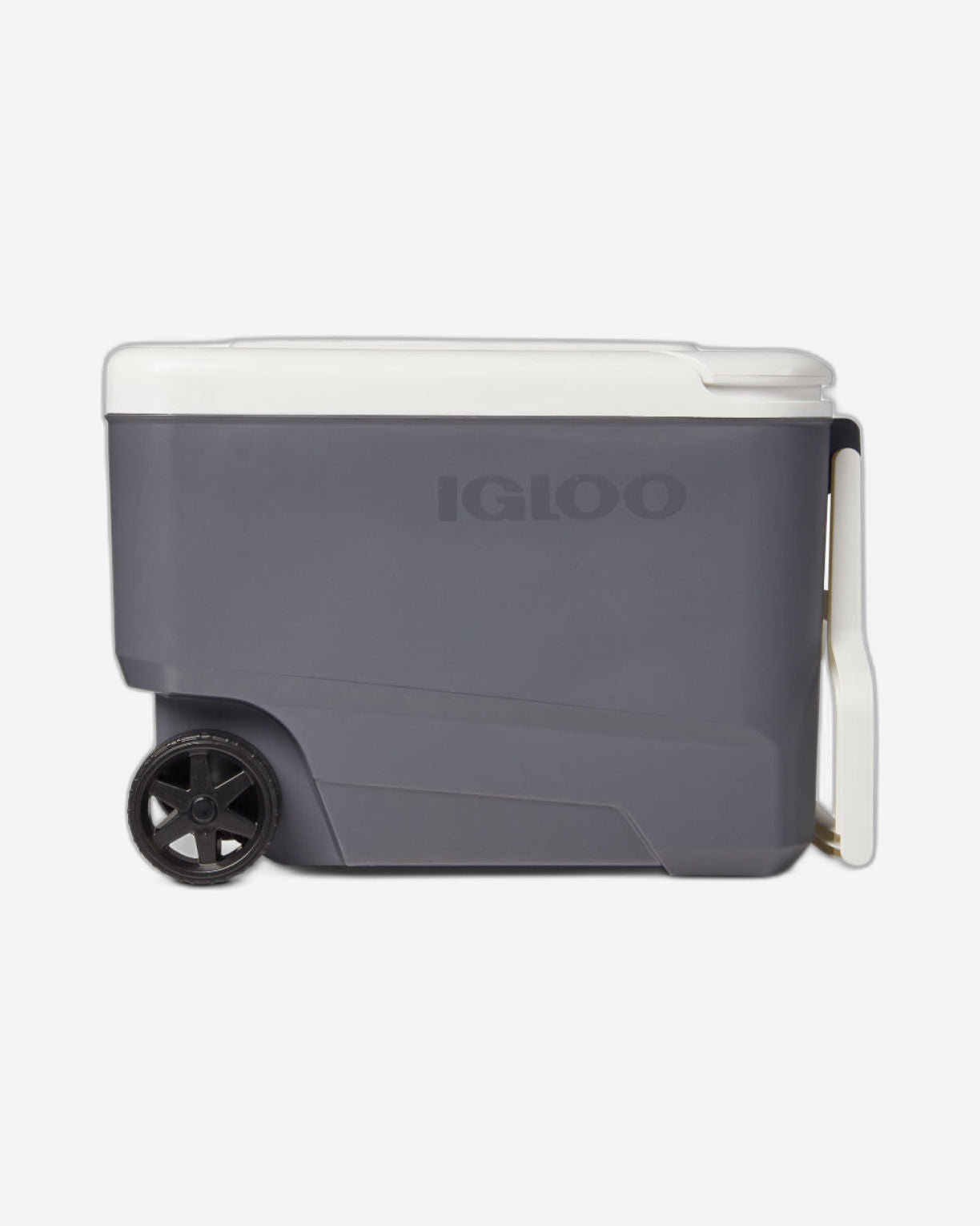 صندوق تبريد كهربائي بعجلات Igloo-Versatemp™ سعة 35 كوارت - كاربونيت