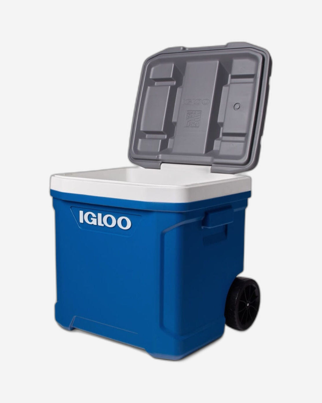 00034664-مبرد أسطواني Igloo-Latitude 60 - أزرق نيلي / نيزكي