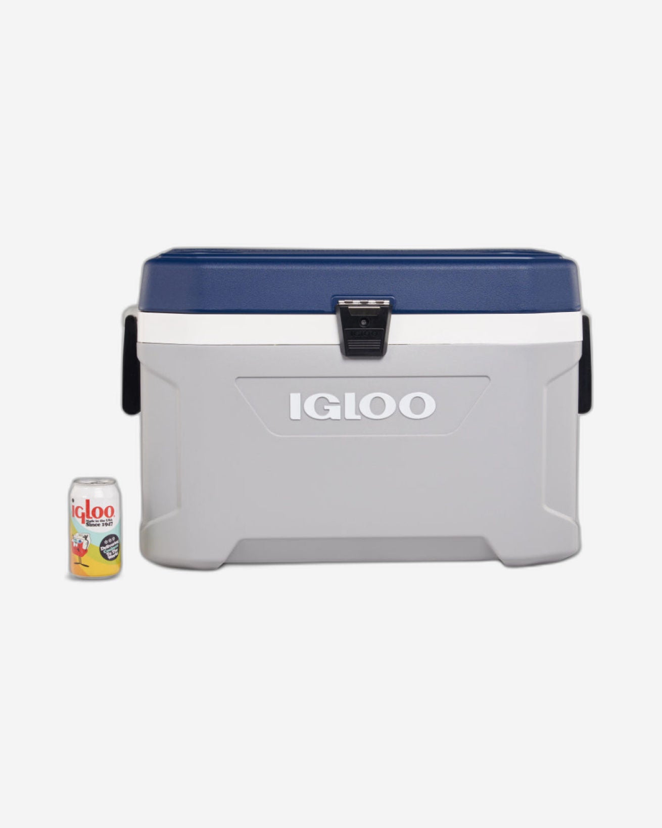 00050543-Igloo-Maxcold Latitude 54 - رمادي فاتح