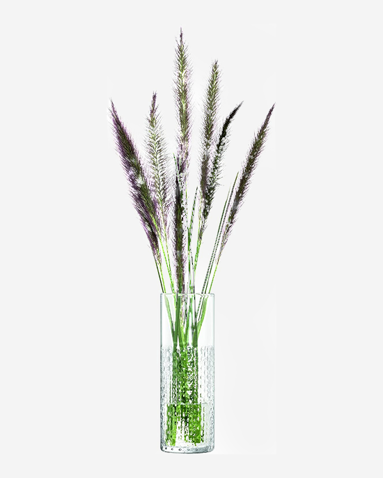 LSA Clear Wicker Vase H20cm