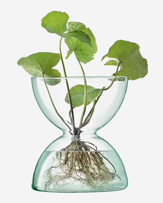 LSA Canopy Vase H24cm Clear