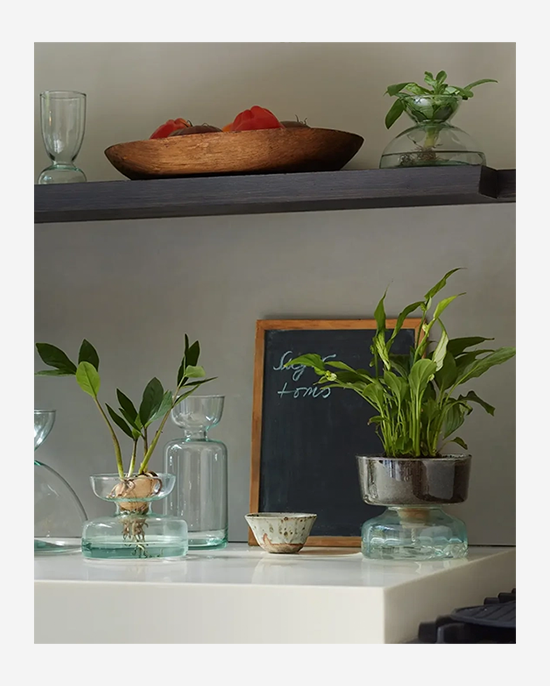 LSA Clear Canopy Vase Bulb Planter H20cm