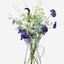 إبريق مزهرية LSA Clear Flower
