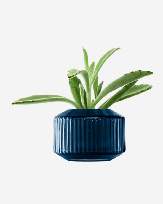 LSA Sapphire Rotunda Tealight HolderVase