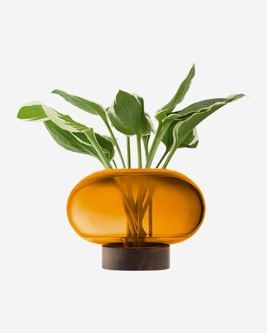 LSA Amber Walnut Oblate Vase Lantern