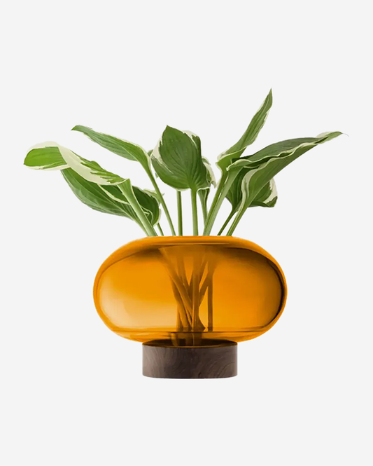 LSA Amber Walnut Oblate Vase Lantern