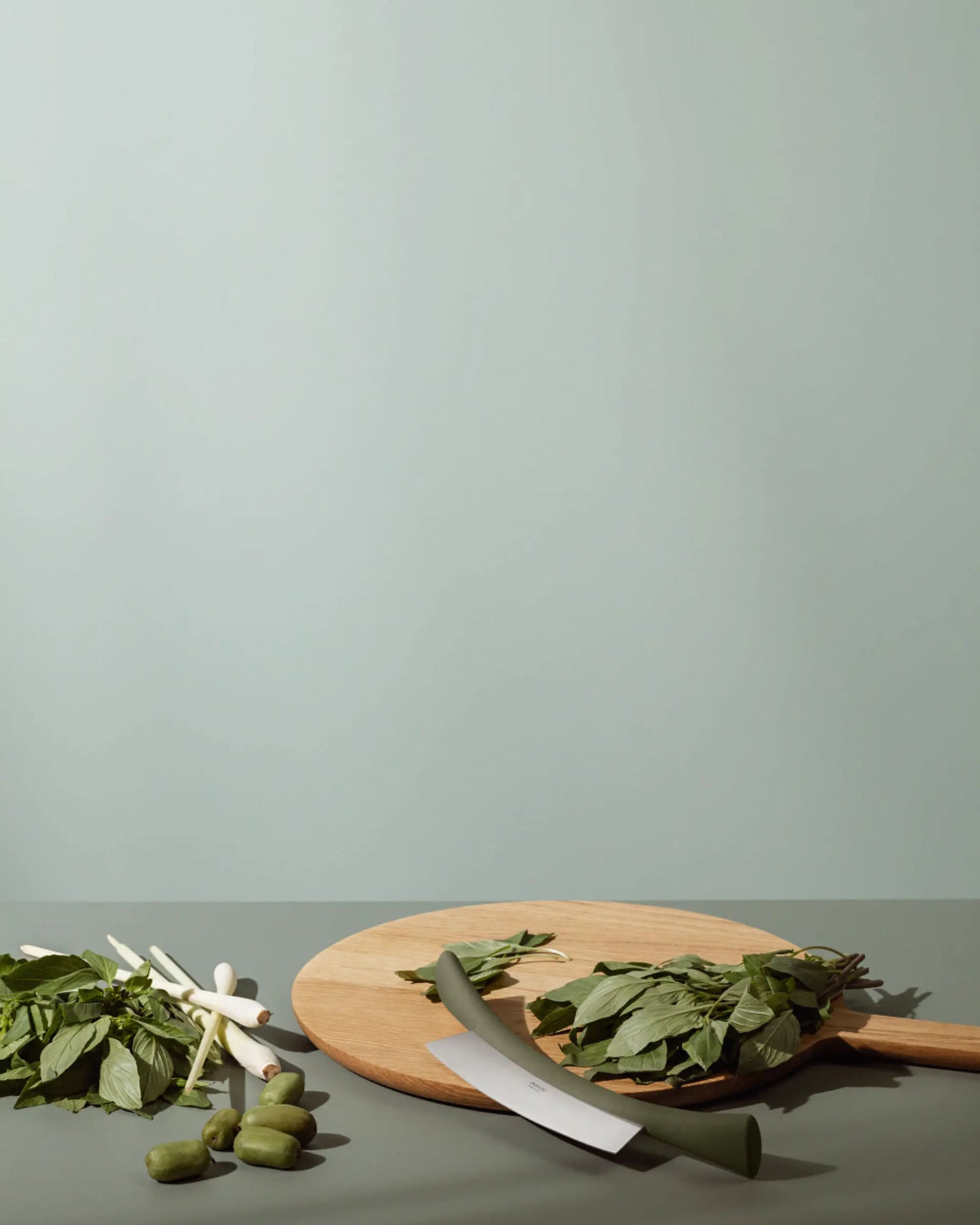 مفرمة أعشاب إيفا سولو 531522، أداة خضراء