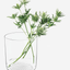LSA Clear Market PlanterVaseLantern