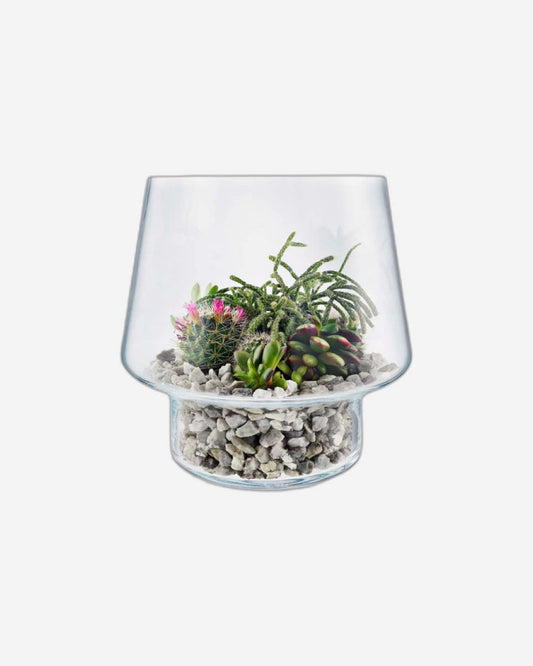 مزهرية زجاجية للنباتات العصارية من إيفا سولو 568188، طولها 21 سم