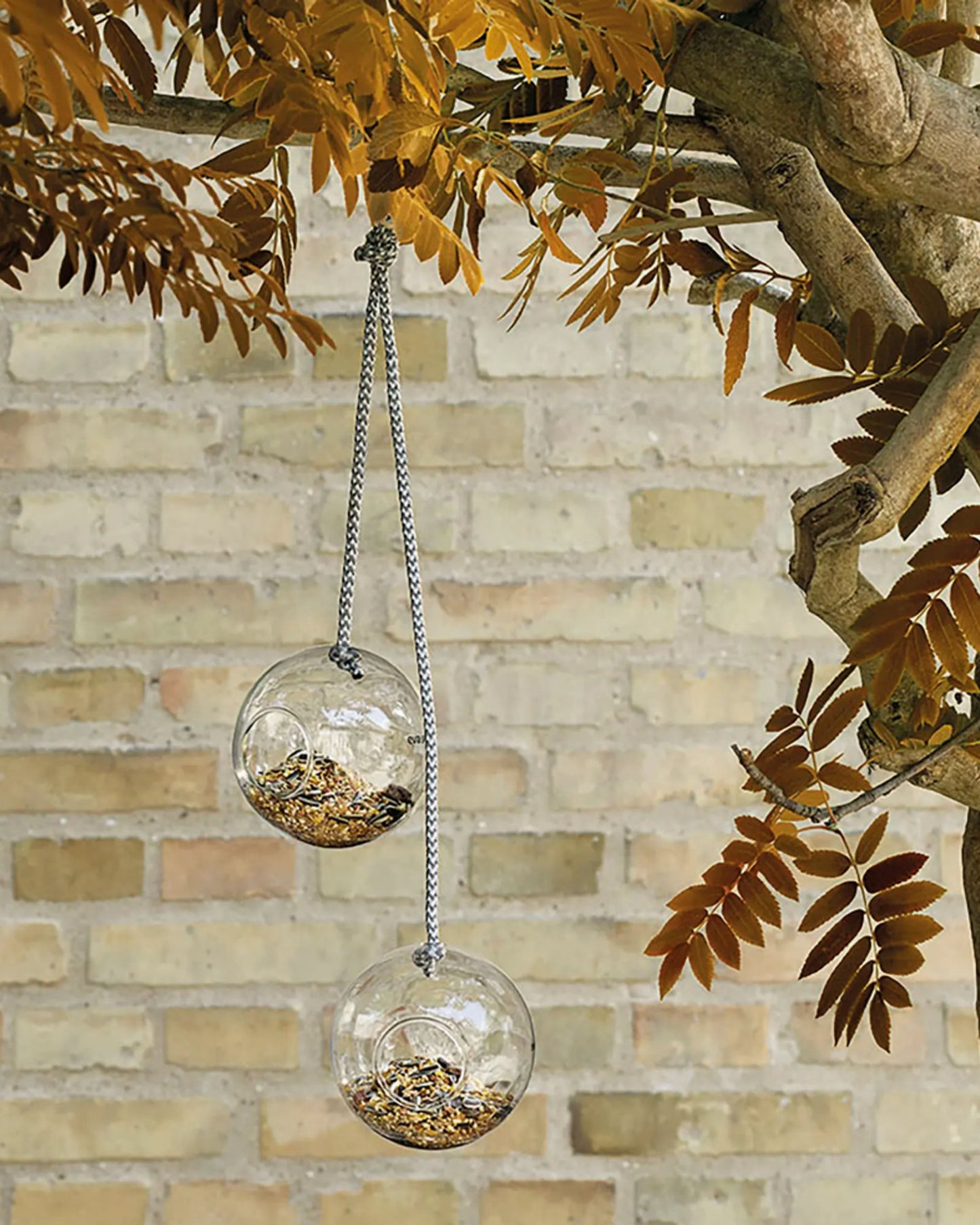 إيفا سولو 571019 2 مغذي طيور زجاجي