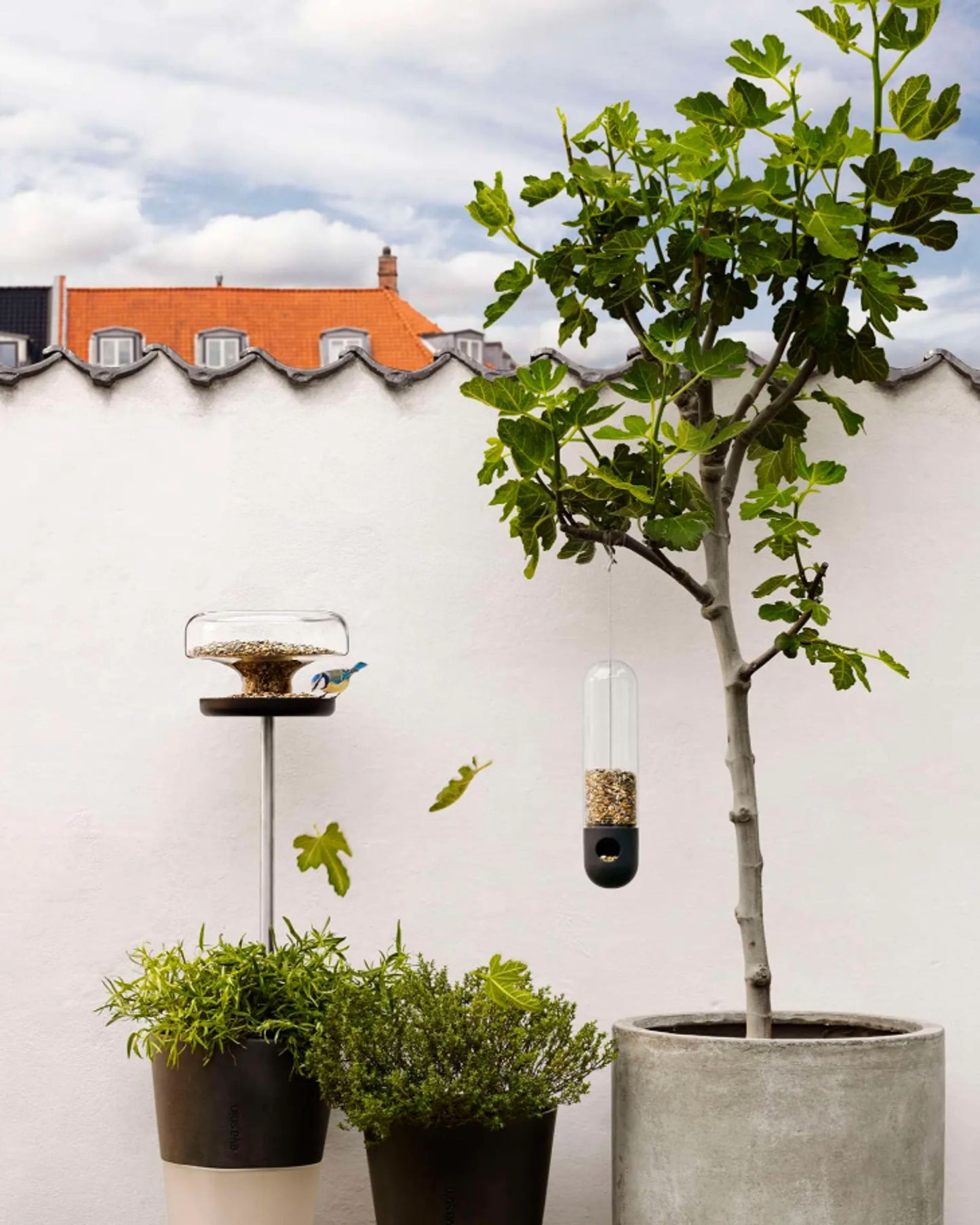 أنبوب تغذية الطيور إيفا سولو 571043