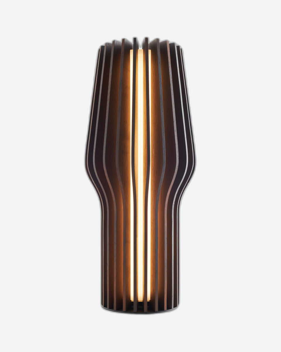 مصباح إيفا سولو 571381 LED مشع يعمل بالبطارية، لون خشب البلوط